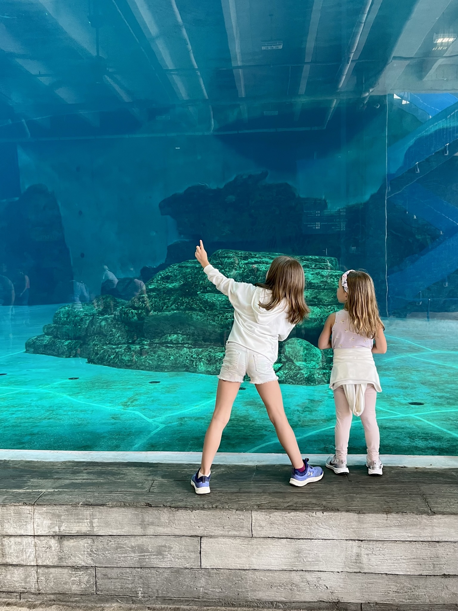 kids at aquarium