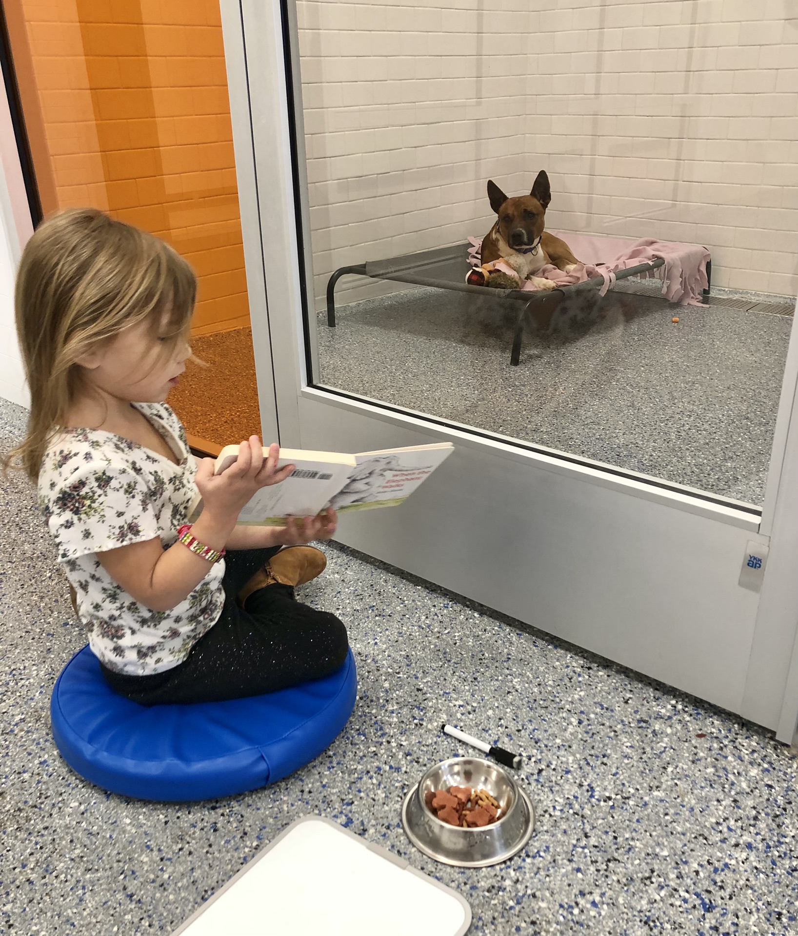 humane society