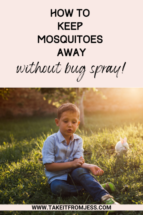 How To Keep Mosquitoes Away Without Bug Spray Take It From Jess